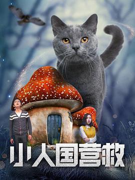 1080HD手机在线观看