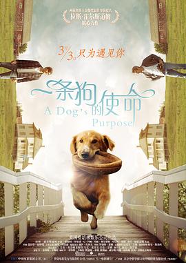 手机免费播放